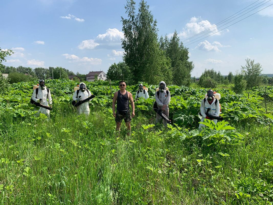 Дезинсекция — это комплекс мероприятий, направленных на уничтожение вредных насекомых и других вредителей, которые могут представлять угрозу для здоровья человека и комфортного проживания.