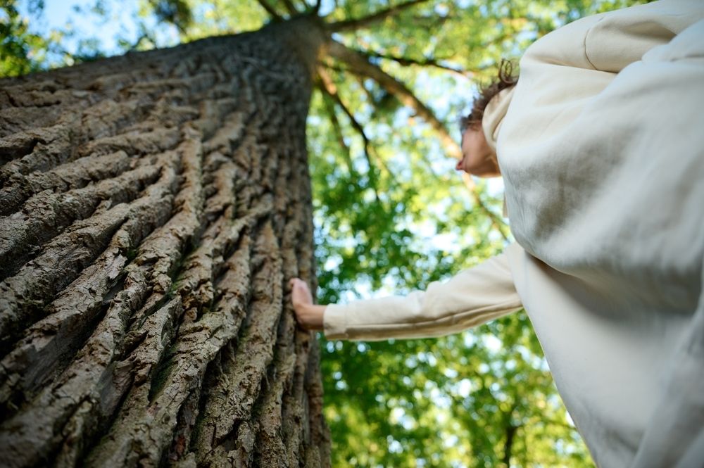 Фото: Shutterstock.com