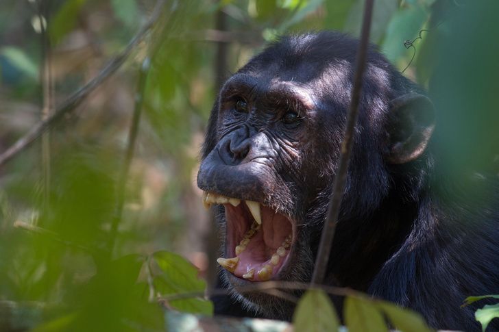 Фото: Steffen Foerster / Alamy via Legion Media.