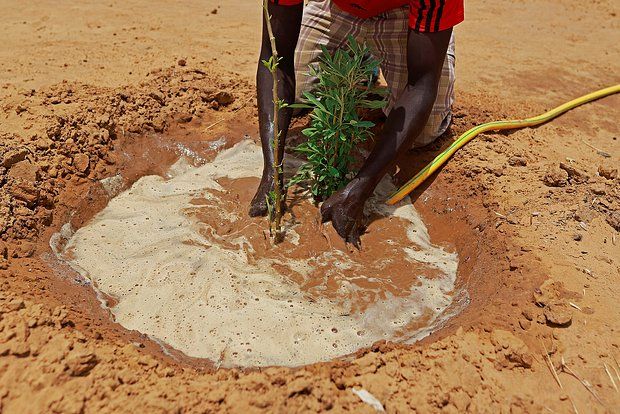 Фото: Zohra Bensemra / Reuters