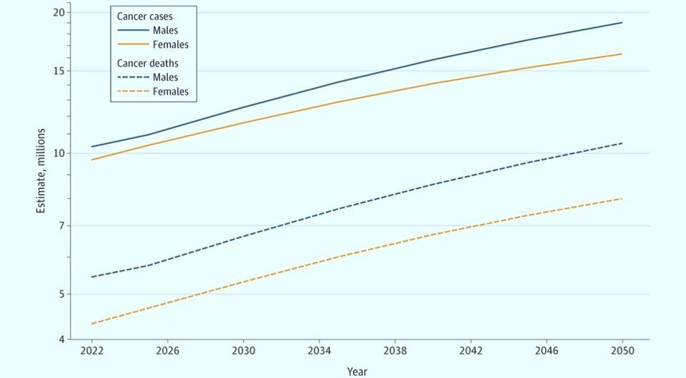 Иллюстрация: Habtamu Mellie Bizuayehu et al. / JAMA Network Open, 2024