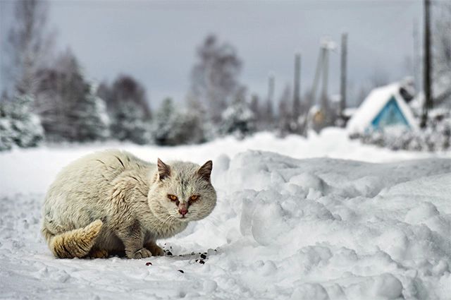 Фото: istockphoto.com