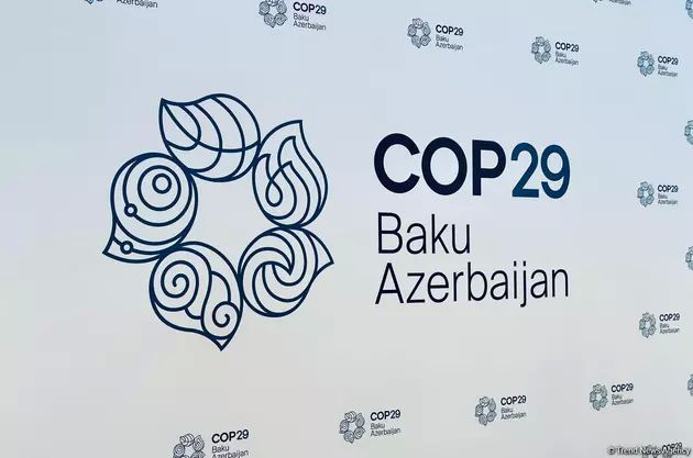 COP-29