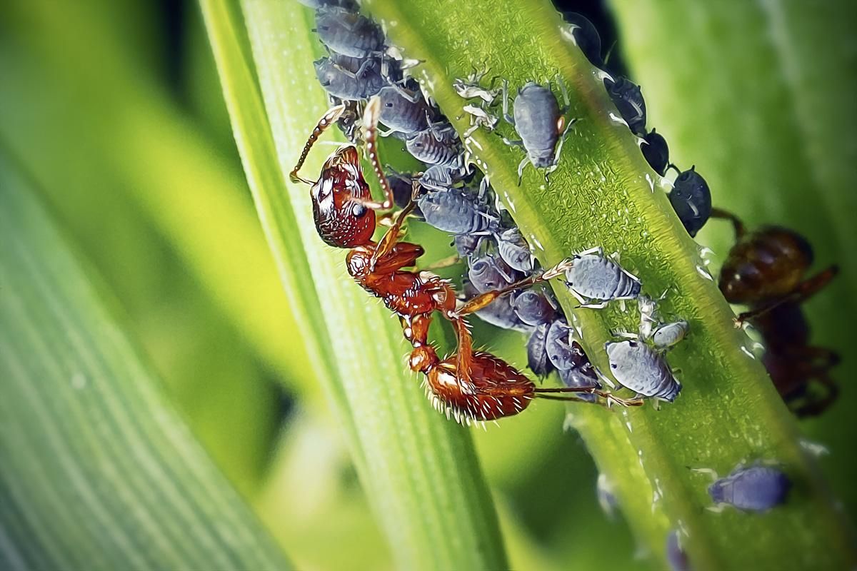 Фото: Frank Ramspott / iStock