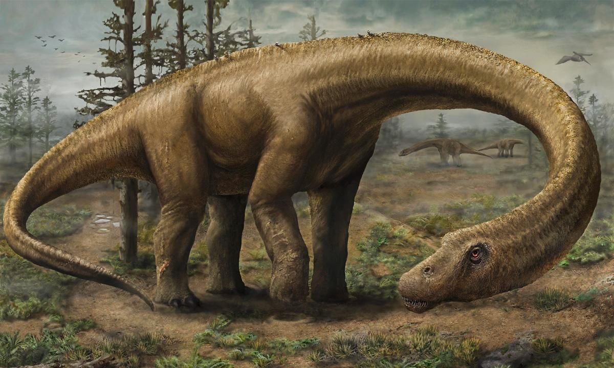 Dreadnoughtus schrani. Иллюстрация: Carnigie Museum of Natural History / Jennifer Hall