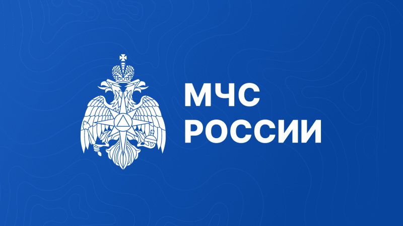 Необходимость создания МЧС в России была вызвана постоянно растущим количеством чрезвычайных ситуаций природного, техногенного и эпидемиологического характера. Логотип МЧС России.