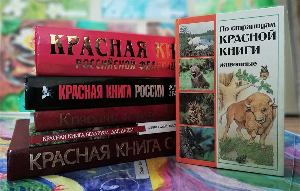 Красная Книга — надежда для редких и исчезающих видов