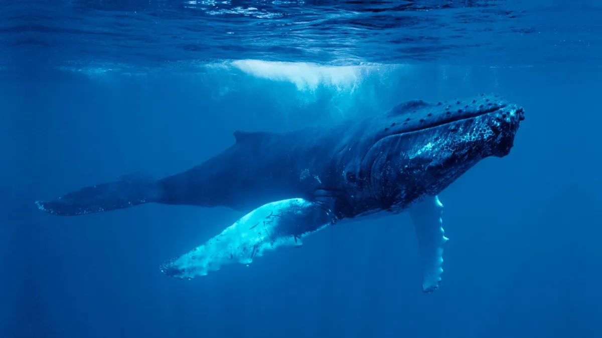 Фото: Andrew William Stevenson / Shutterstock.com