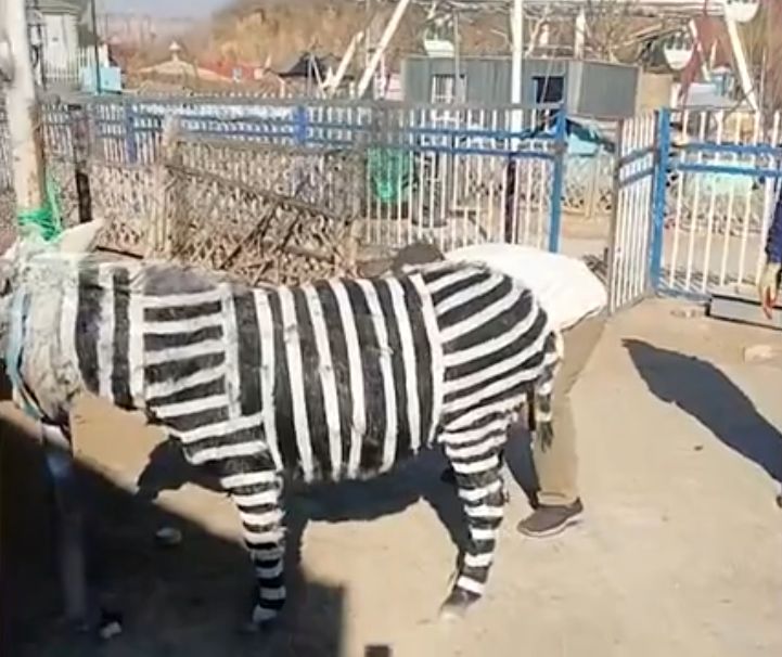 Кадр из видео