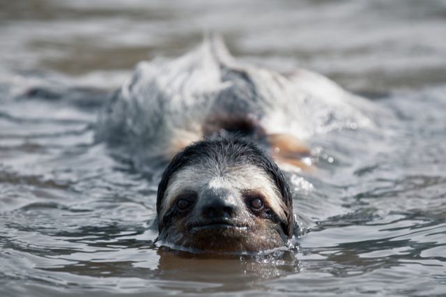 Фото: Shutterstock/FOTODOM