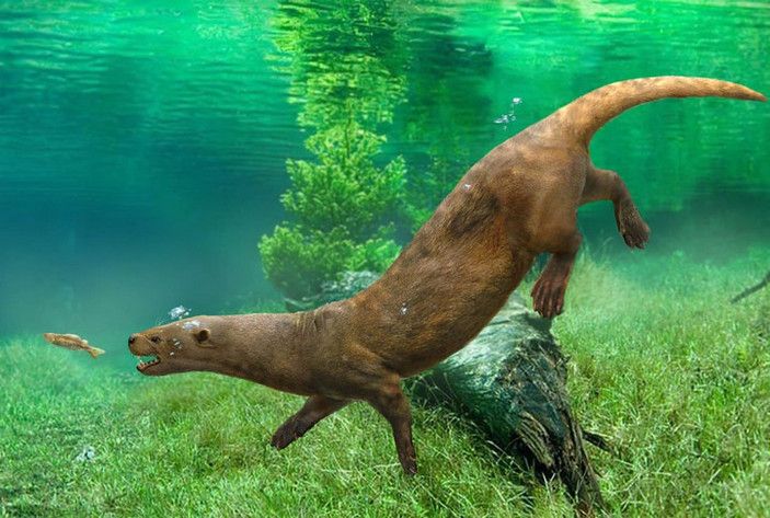 Рисунок Романа Евсеева с сайта age-of-mammals.ucoz.ru.