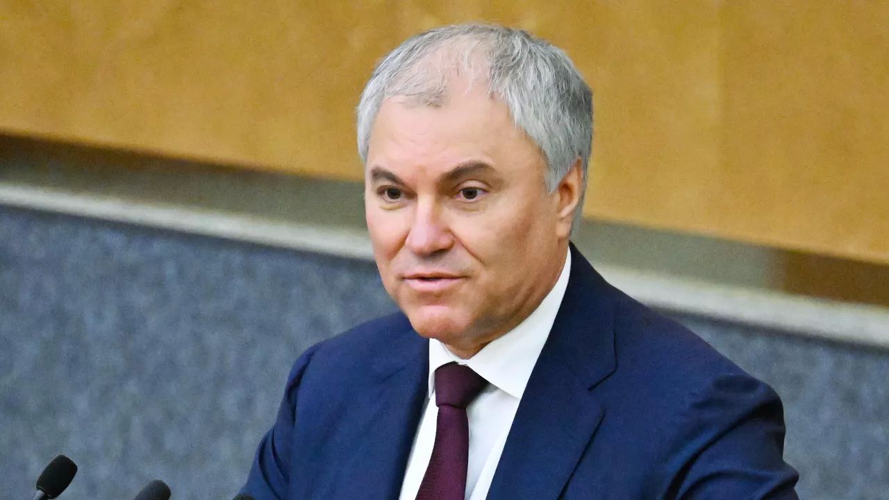 Председатель Государственной думы России Вячеслав Володин. Архивное фото РИА Новости / Владимир Федоренко