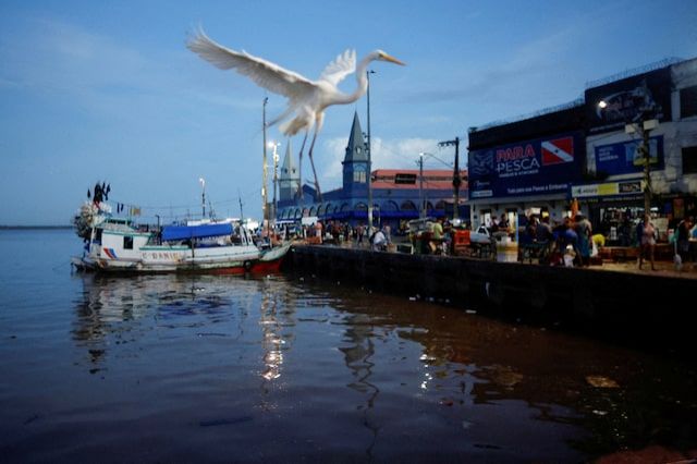 Фото: REUTERS/Adriano Machado/File