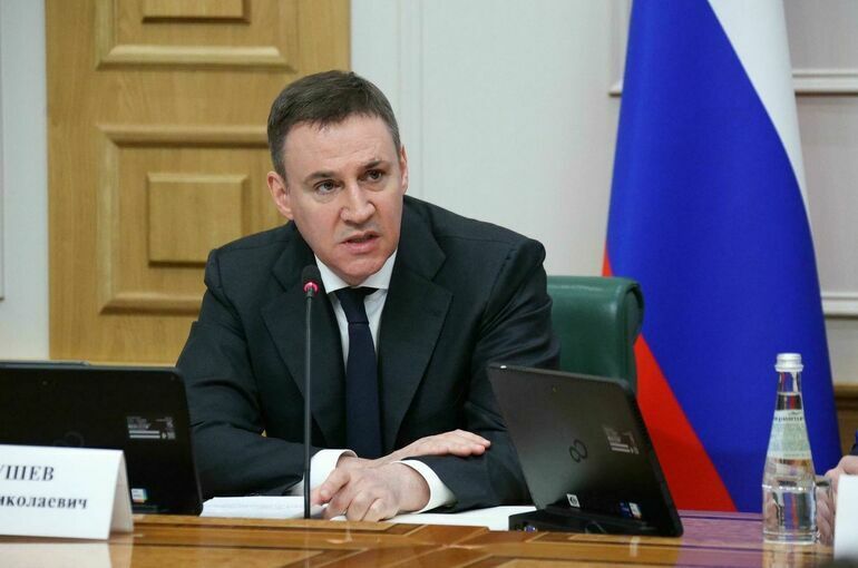 Дмитрий Патрушев. Фото: Денис Вышинский / пресс-служба Совета Федерации