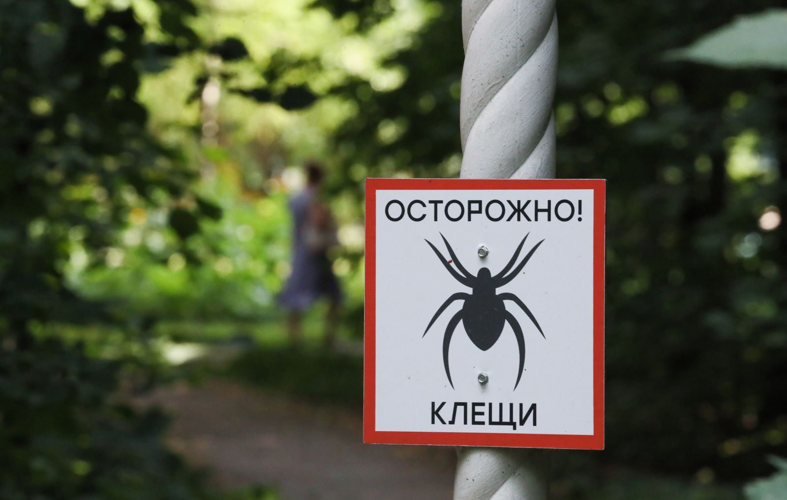 Фото: Владимир Гердо/ ТАСС