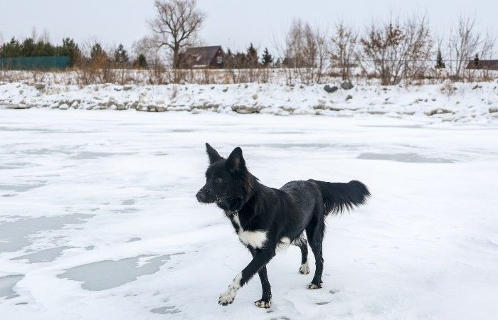 Архивное фото: Кирилл Кухмарь/ТАСС