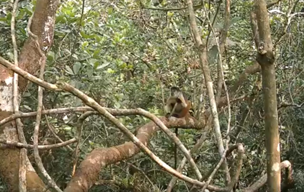 Кадр из видео
