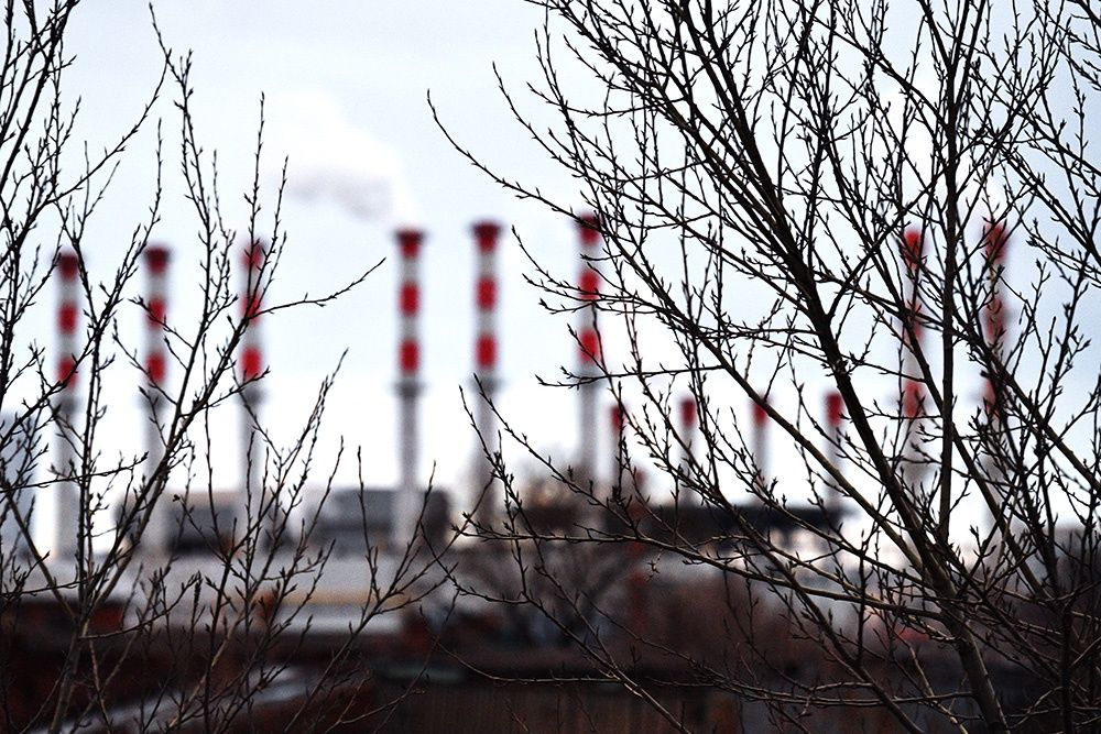 Вклад России в мировые выбросы парниковых газов оказался меньше, чем считалось ранее, а поглощающая способность выше. Фото: РИА Новости