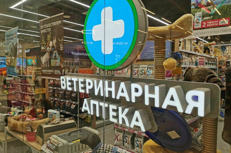 Фото: Игорь Самохвалов / Парламентская газета.