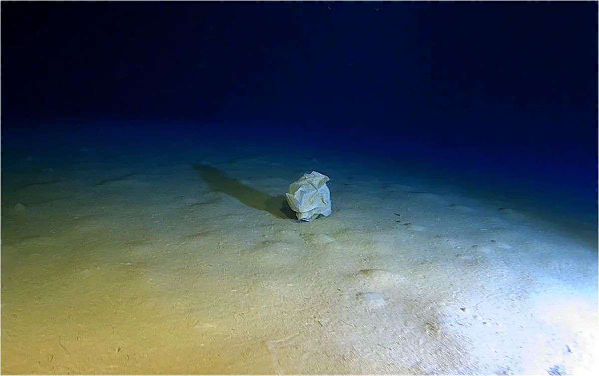 Фото: Caladan Oceanic