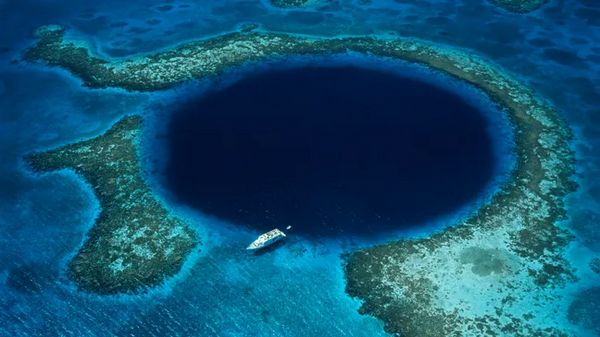 Фото: Schafer & Hill/Getty Images