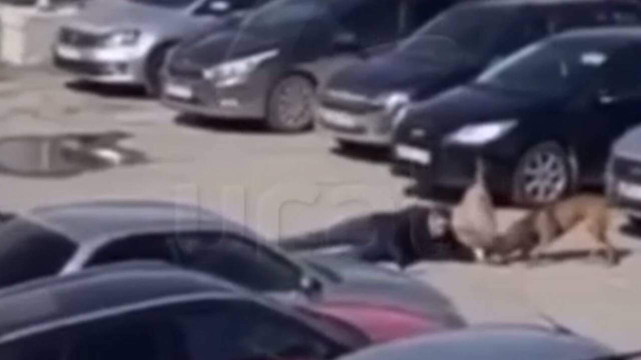 Кадр из видео происшествия