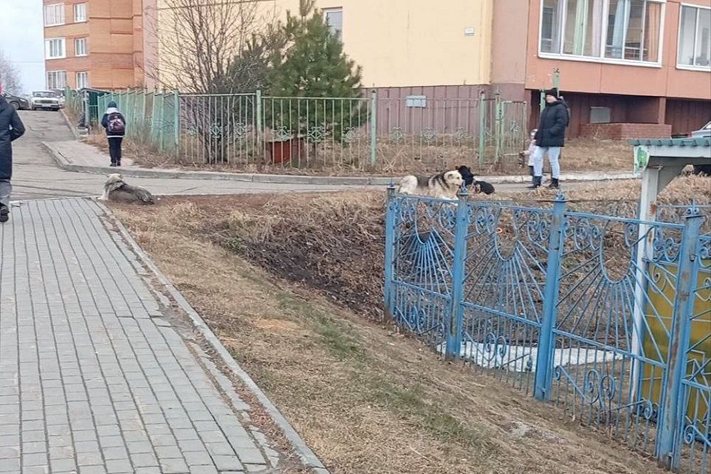 Фото: Прокуратура Томской области