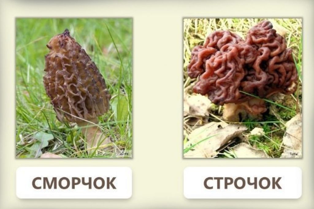 Иллюстрация: cityescape.ru