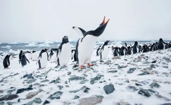 Фото: Christian Vorhofer / imagebroker.com / Global Look Press