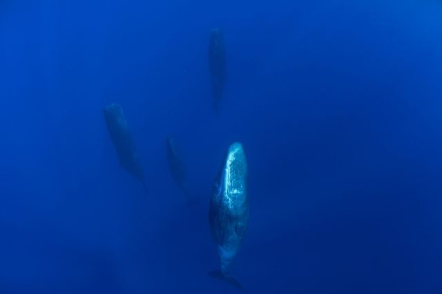 Фото: ohrim / Shutterstock/FOTODOM