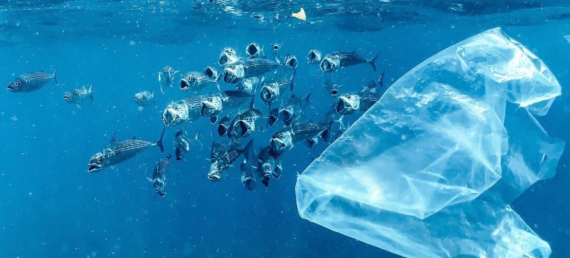 По оценкам, в океан попадает от 18 до 20 процентов мировых пластиковых отходов. Фото: Unsplash/Н. Бертольт-Йенсен