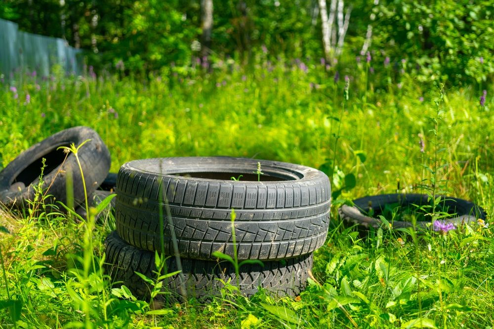 Иллюстрация: iStock