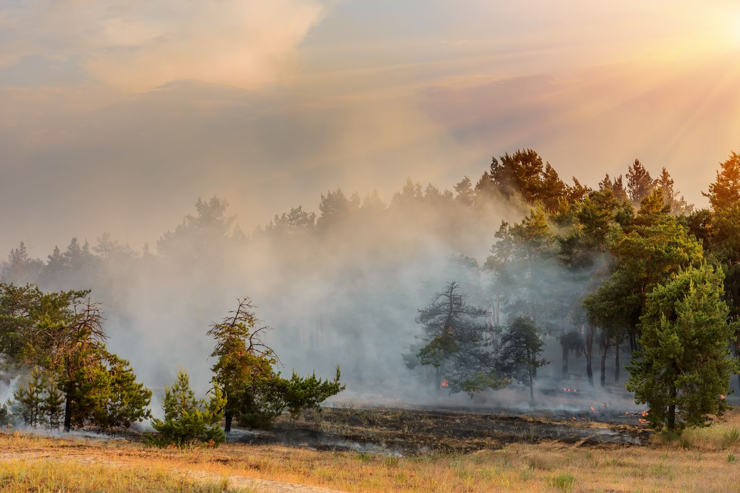 Фото: ABCDstock/Shutterstock/FOTODOM