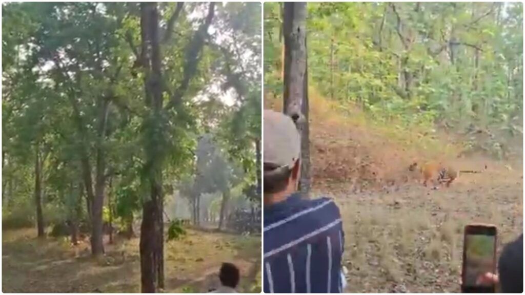 Кадры из видео
