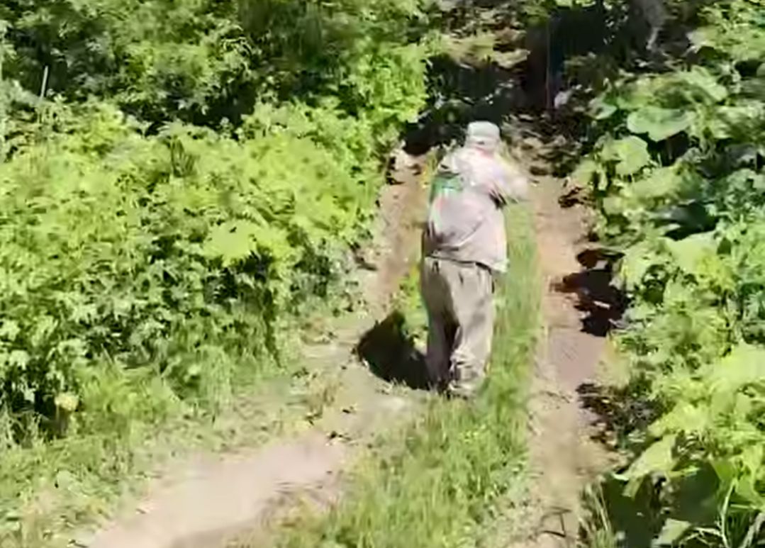 Кадр из видео