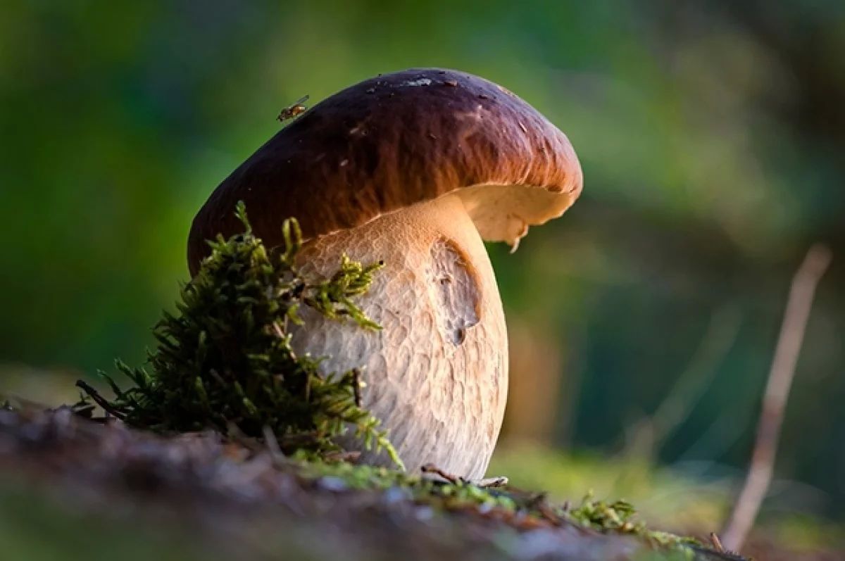 Иллюстрация: istockphoto.com