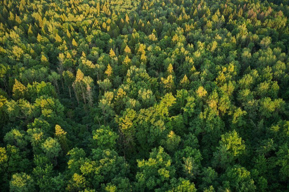 Фото: IStock