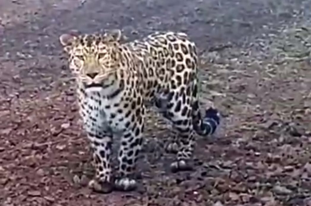Кадр из видео