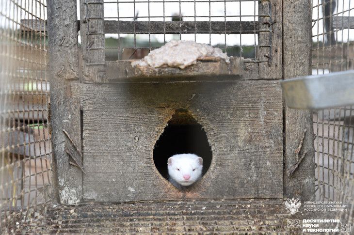 Фото: Ирина Баранова