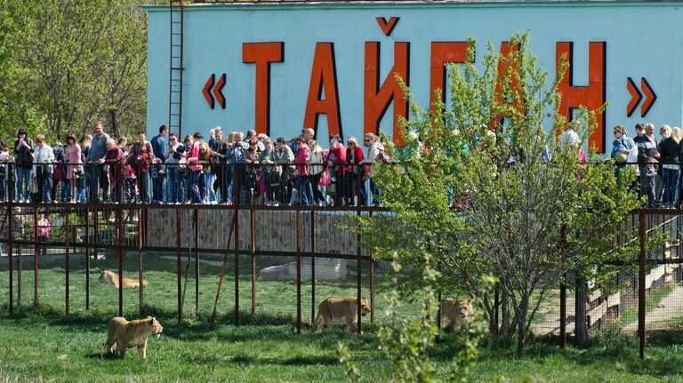 Сафари-парк «Тайган». Архивное фото РИА Новости / Сергей Мальгавко