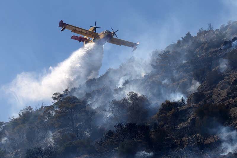 Пожарный самолет сбрасывает воду над лесным пожаром недалеко от Афин, Греция. Фото: Costas Baltas/Anadolu via Getty Images