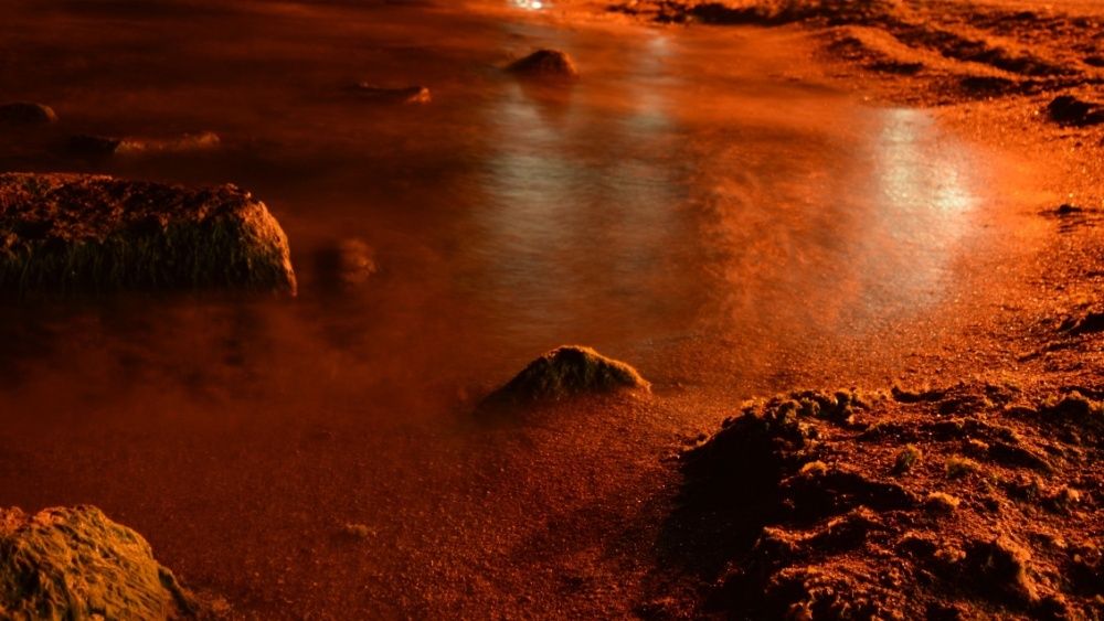 Фото: MrMask100/Shutterstock/FOTODOM