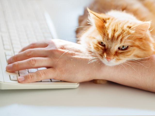 Иллюстрация: shutterstock.com