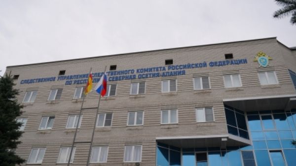 Следствие выясняет, кто виноват в нападениях бродячих собак на детей. Фото: osetia.sledcom.ru