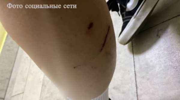 Фото: stavropol.sledcom.ru