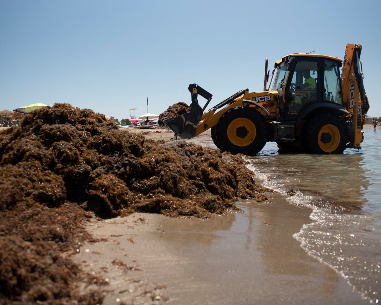 Спецтехника используется для уборки водорослей с пляжа в Испании