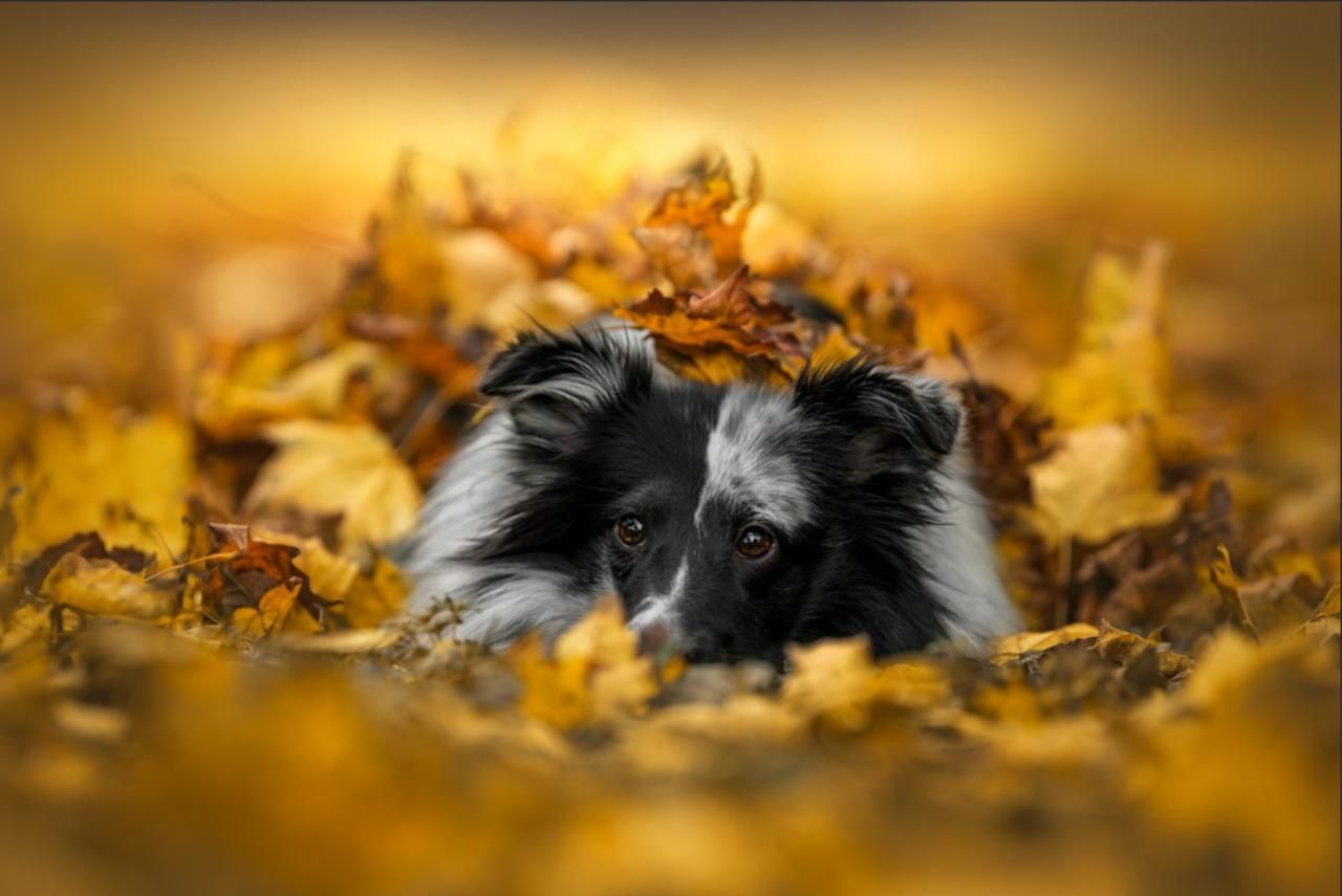 Фото: Lucie Nermuťová