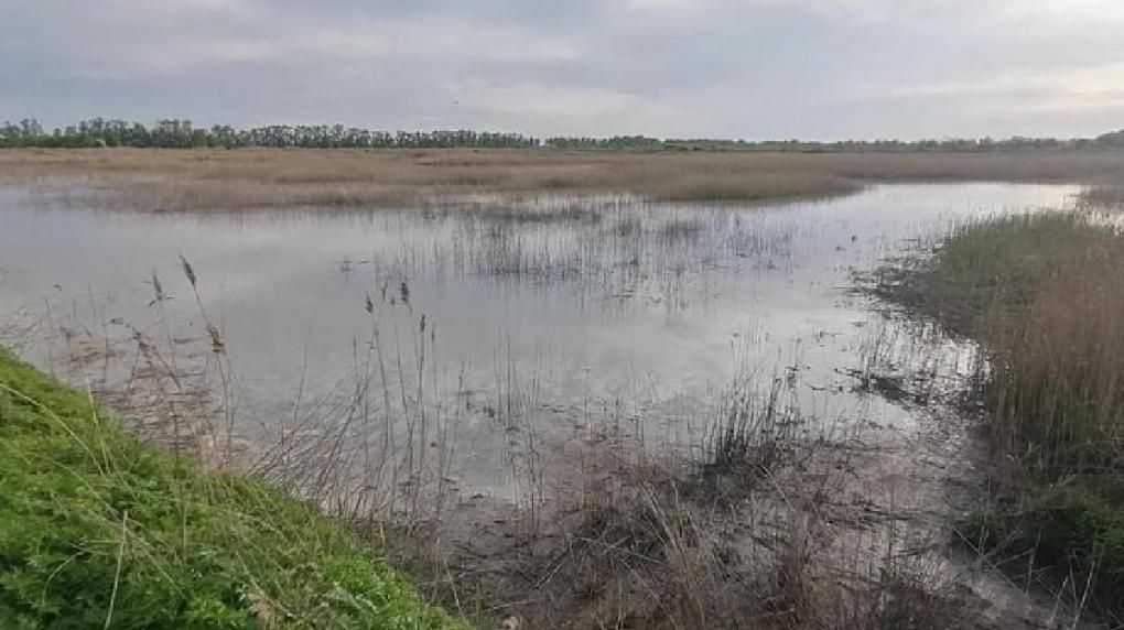 Фото: пресс-служба Следственного комитета
