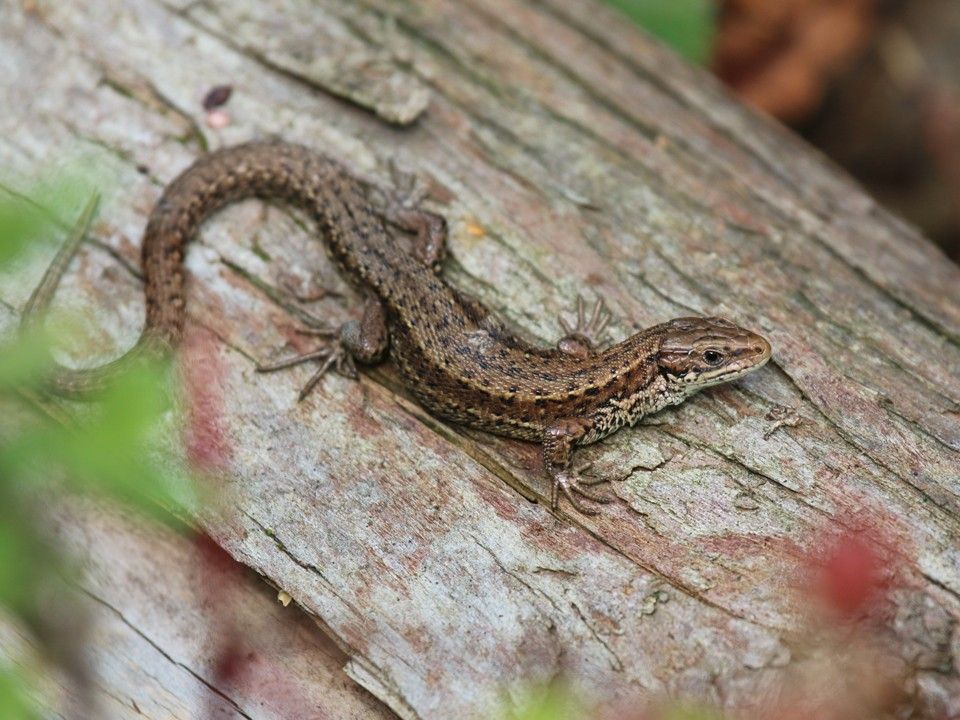 Фото: istockphoto.com
