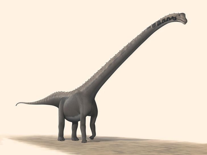 Mamenchisaurus youngi, родственный вид Huashanosaurus qini. Иллюстрация: Steveoc 86 / CC BY-SA 2.5